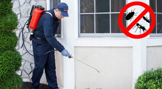 Birecik Dezenfeksiyon böcek ilaçlama ve haşere kontrolü — ilaclama-tr.com
